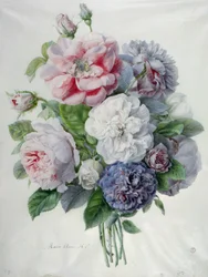 Blumenstücke
